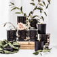 DEBONAIR Scented Travel Candle - over 30+ hours burn time